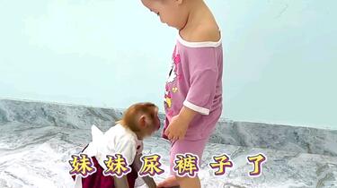 女孩尿  小女孩尿裤子，小猴子就像一个保姆一样，照顾妹妹_哔哩哔哩_bilibili