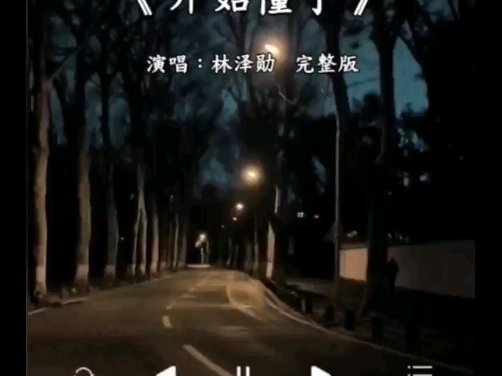 [图]开始懂了（cover 孙燕姿）—林泽勋（马来西亚）