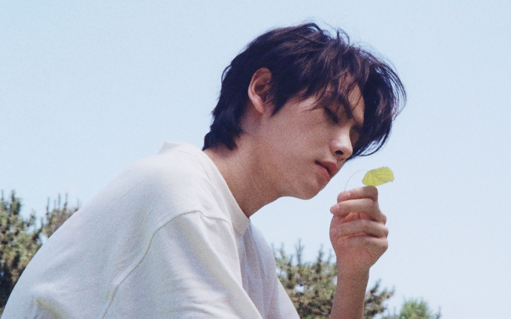 肖宇梁抖音丨忘记雷霆嘎巴一键领取日系男友