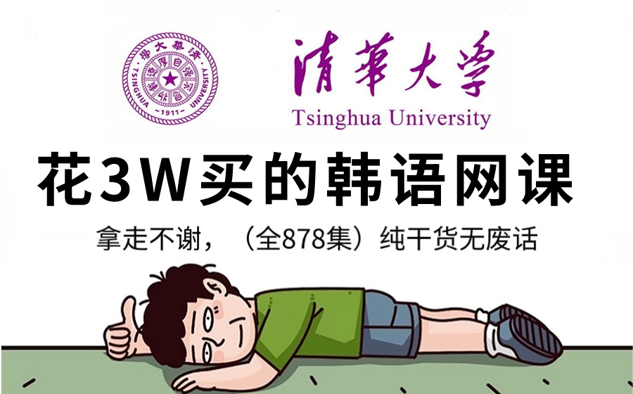 【全878集】价值3W的韩语网课,清华大佬为学渣研制的保姆级零基础韩语入门教程,全程通俗易懂,小白看完快速进阶T6大神,拿走不谢,允许白嫖!哔...