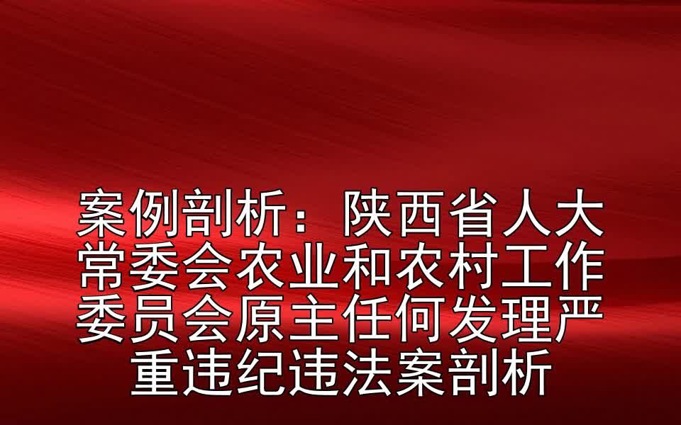 案例剖析:陕西省人大常委会农业和农村工作委员会原主任何发理严重违纪违法案剖析哔哩哔哩bilibili