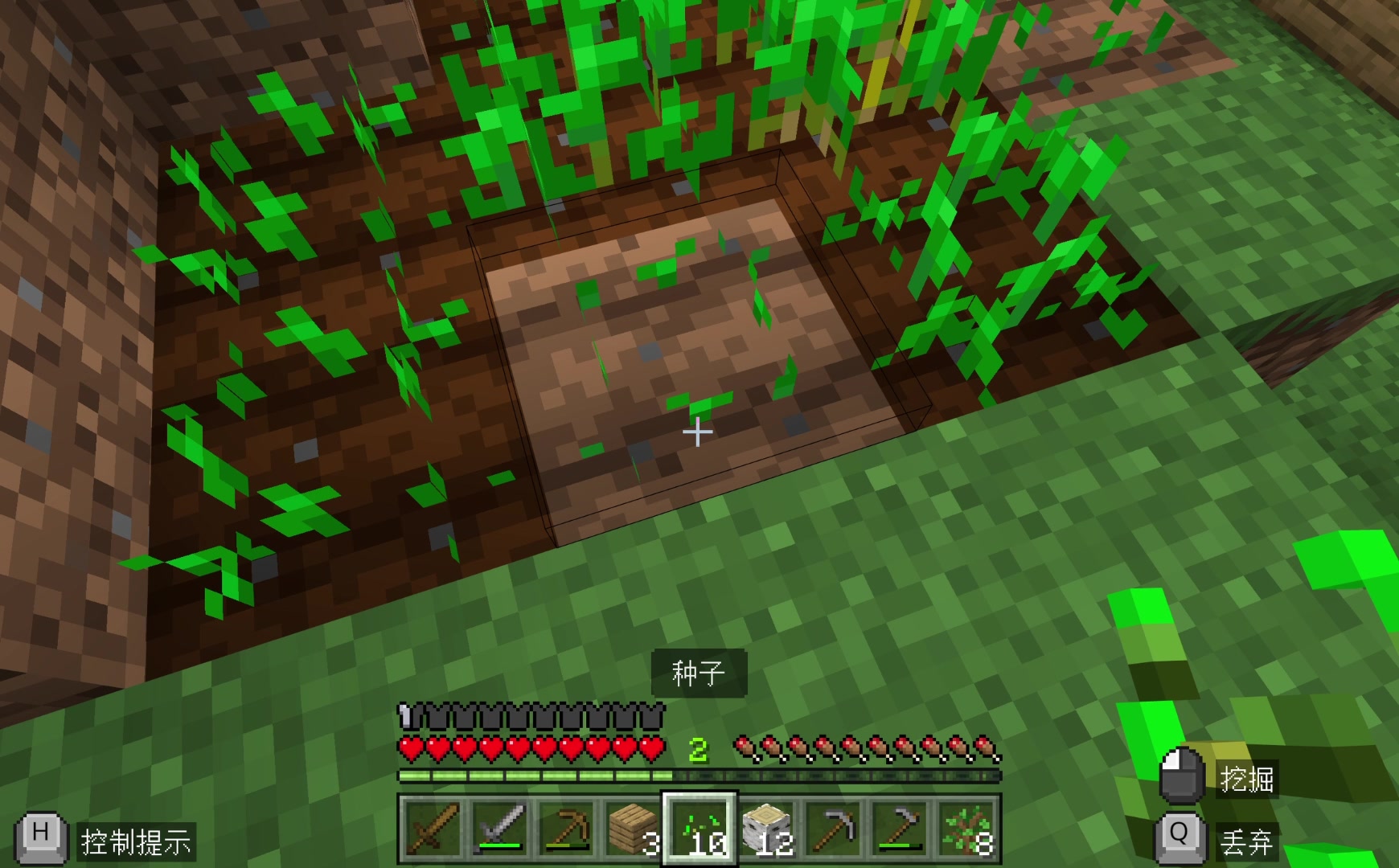 我的世界,生存模式