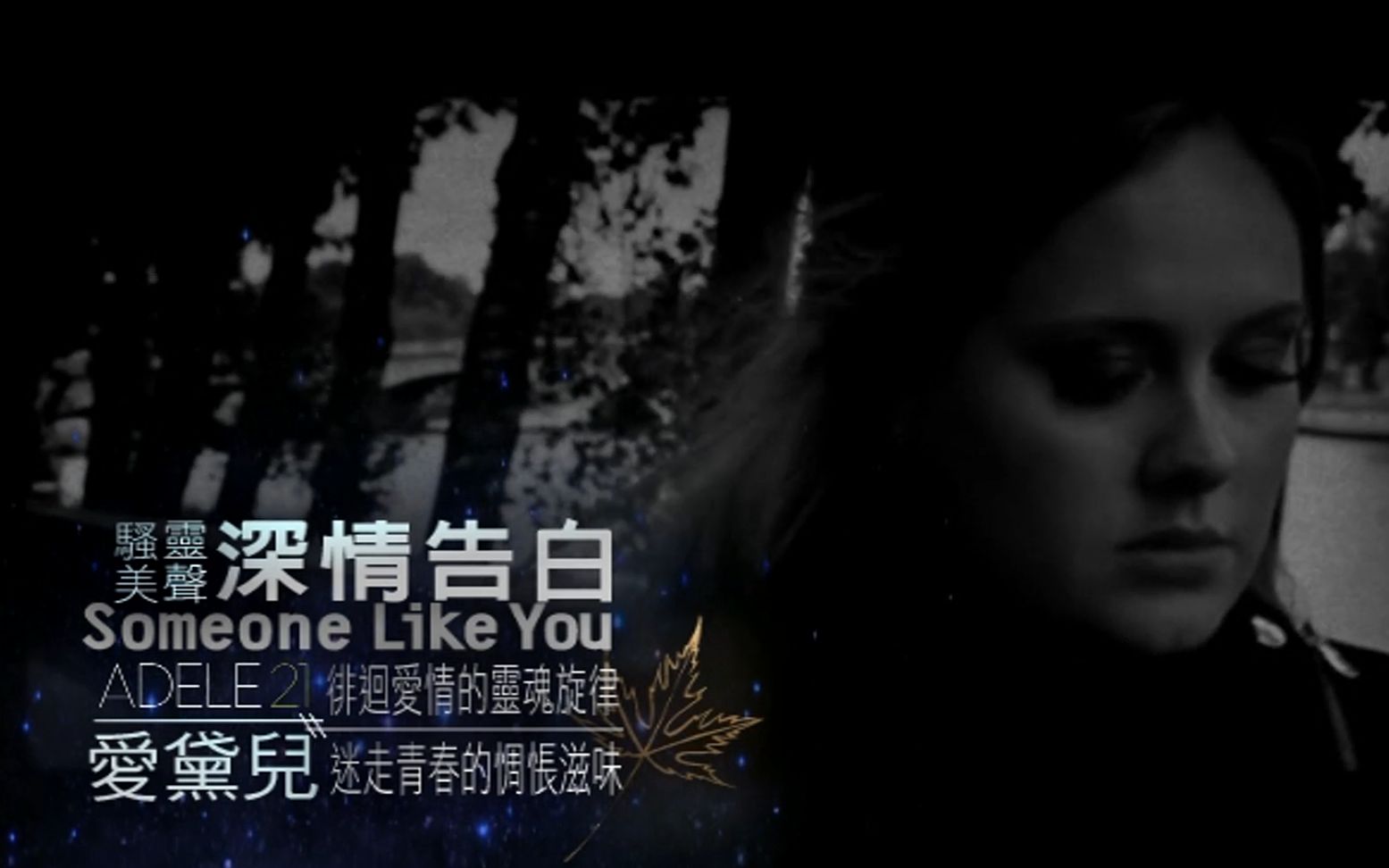 [图]Adele-Someone Like You 愛黛兒-深情告白 中文字幕MV