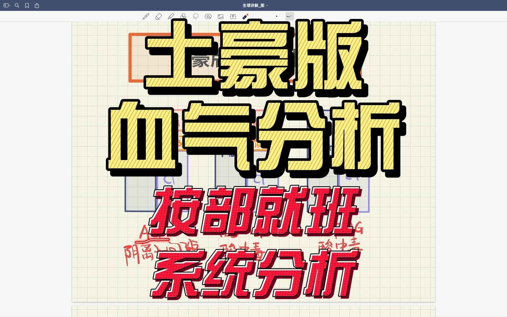 【血气分析】全面 + 系统 + 逐步解析哔哩哔哩bilibili