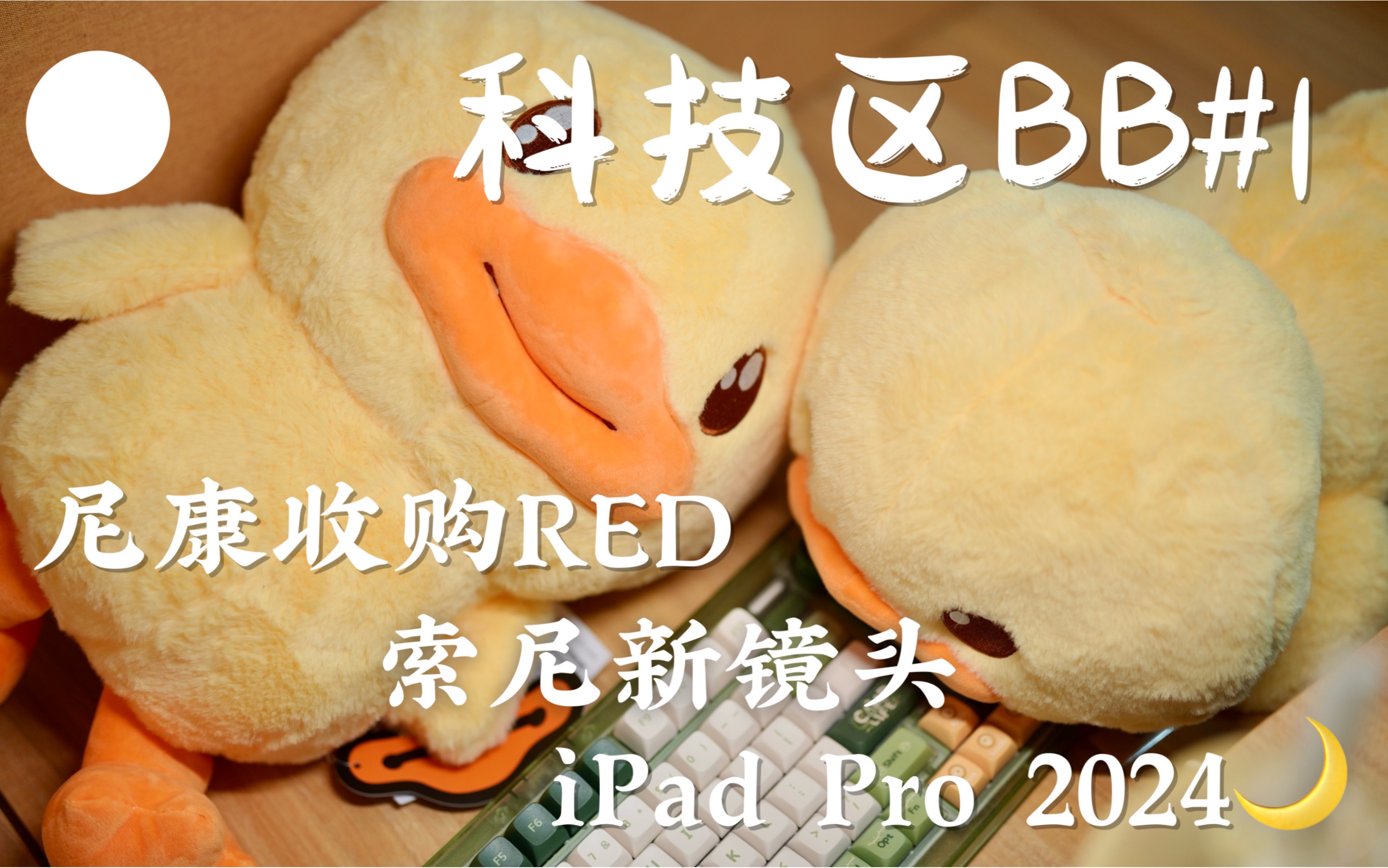 「小西」科技区BB#1|尼康收购REDⷧ𔢥𐼥‘布新镜头ⷩPadPro2024哔哩哔哩bilibili