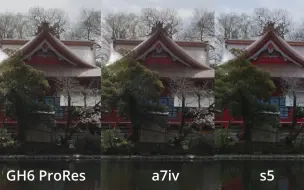 Download Video: Lumix GH6 vs Lumix S5 vs Sony a7iv 徹底比較