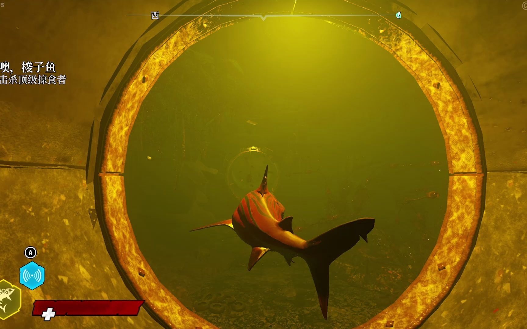 switch食人鲨实况p3