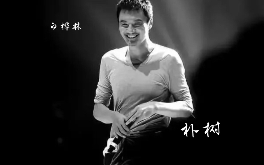 朴树 《白桦林》 天真作少年.