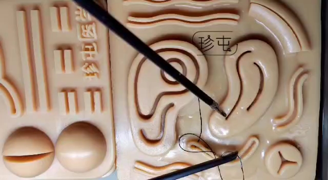 腔镜训练练习:弧形切口-正反交替连续