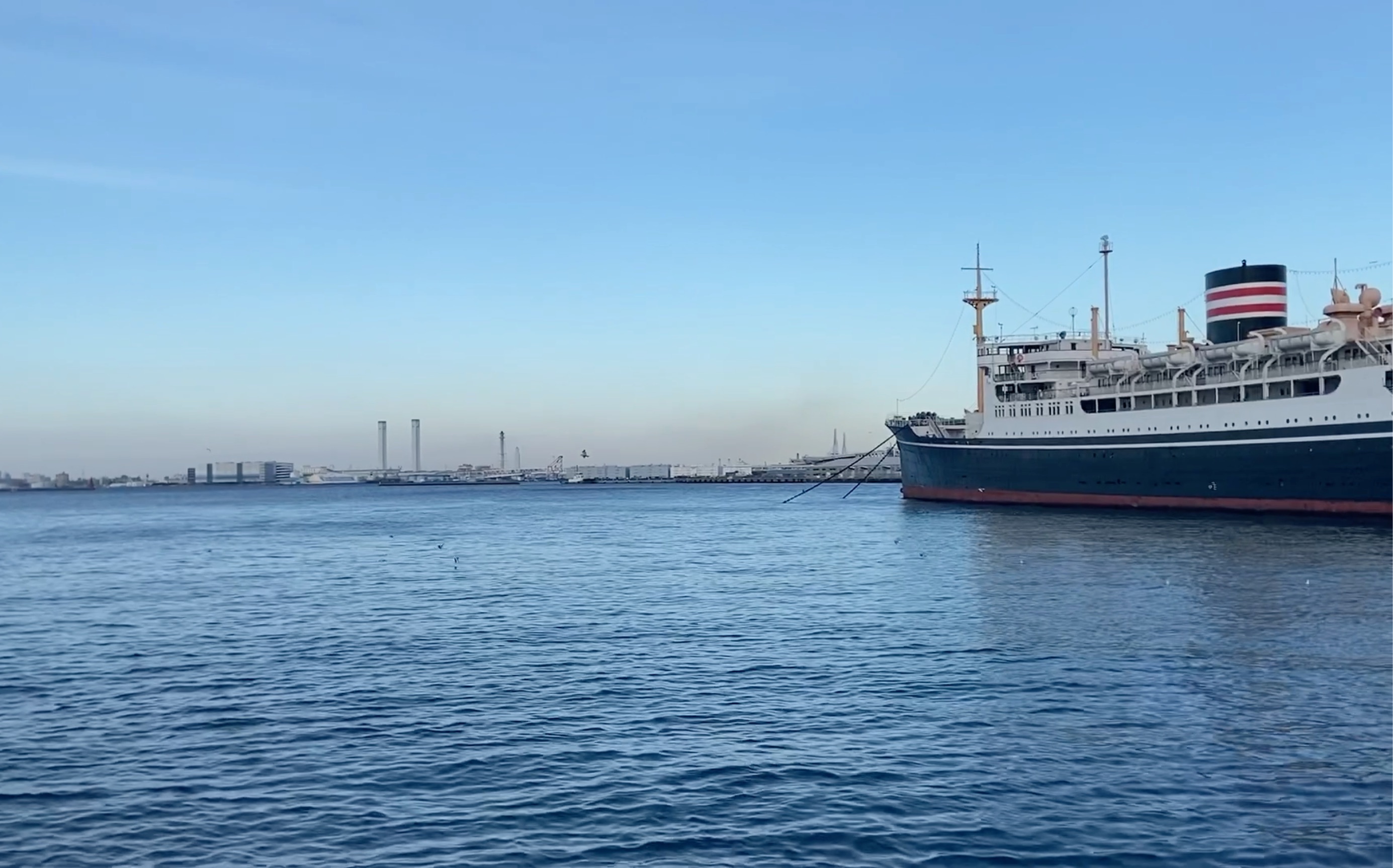 【張さんの旅行】走,去看海!(横滨海岸无滤镜一日游简单拍)