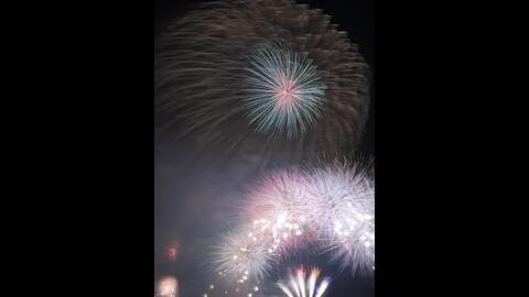 22 08 11 三国花火大会开幕花火 哔哩哔哩 Bilibili