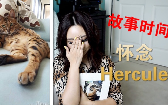 [MsLindaY]故事时间怀念Hercules|StorytimeRemembering Hercules哔哩哔哩bilibili