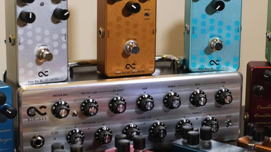 Animals Pedal Surfing Polar Bear Bass Overdrive *Mod By BJF*_哔哩