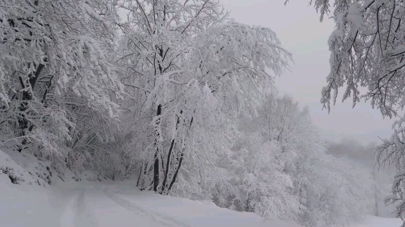 [图]经典歌曲一一飘雪的季节更想你