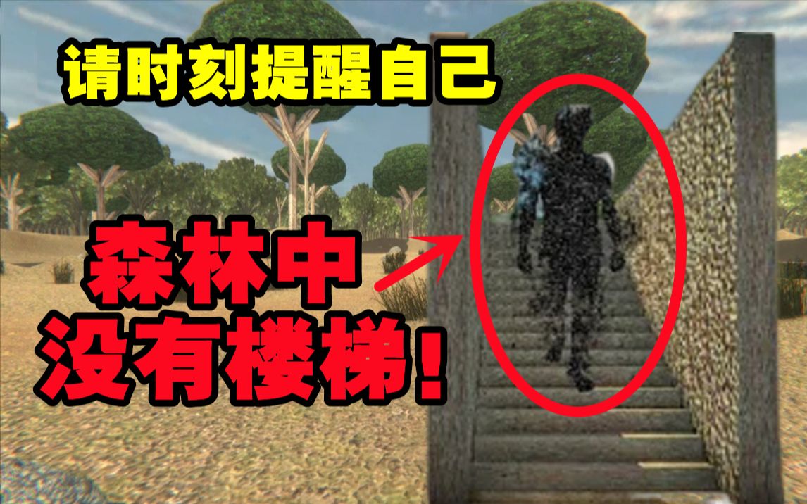 [图]如果你在森林里看到任何形式的楼梯，请马上转身离开！——【Forest Stairs】