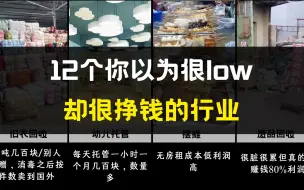 Tải video: 12个你以为很low，其实很挣钱的行业