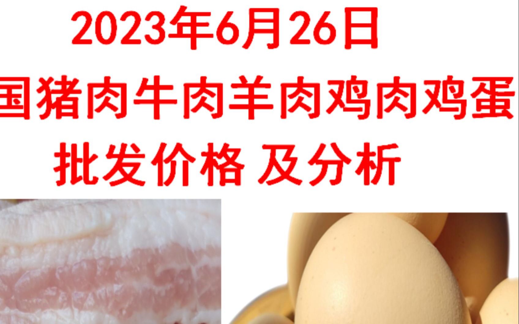 2023年06月26日全国猪肉牛肉羊肉鸡肉鸡蛋批发价格日报走势分析哔哩哔哩bilibili