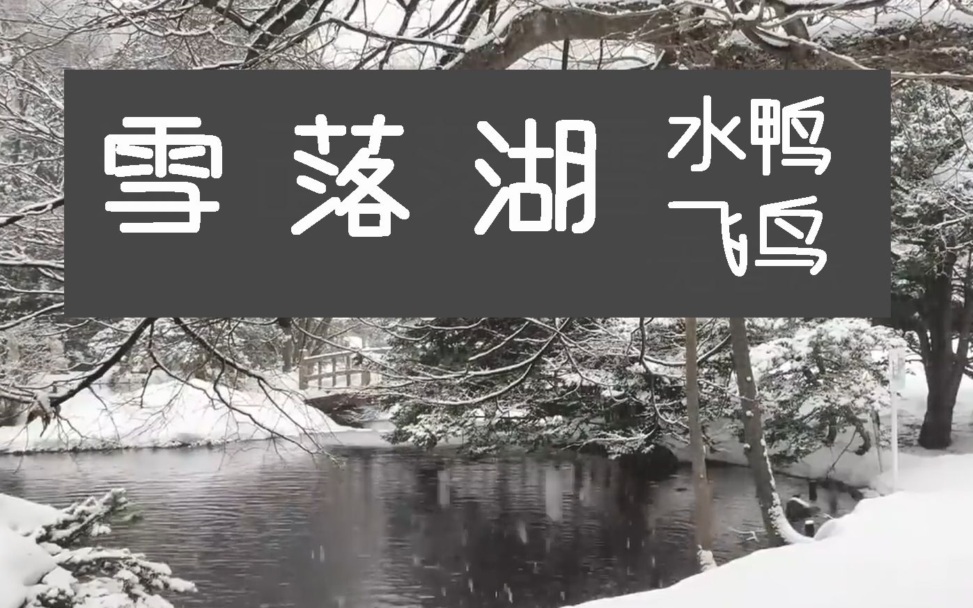 [图]【飘雪的湖面】白噪音。雪落，湖景，水鸟，无音乐，3小时。