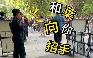 2023.04.27 保安叔叔：和叶和花一个妈，看到和叶犹如看和花！