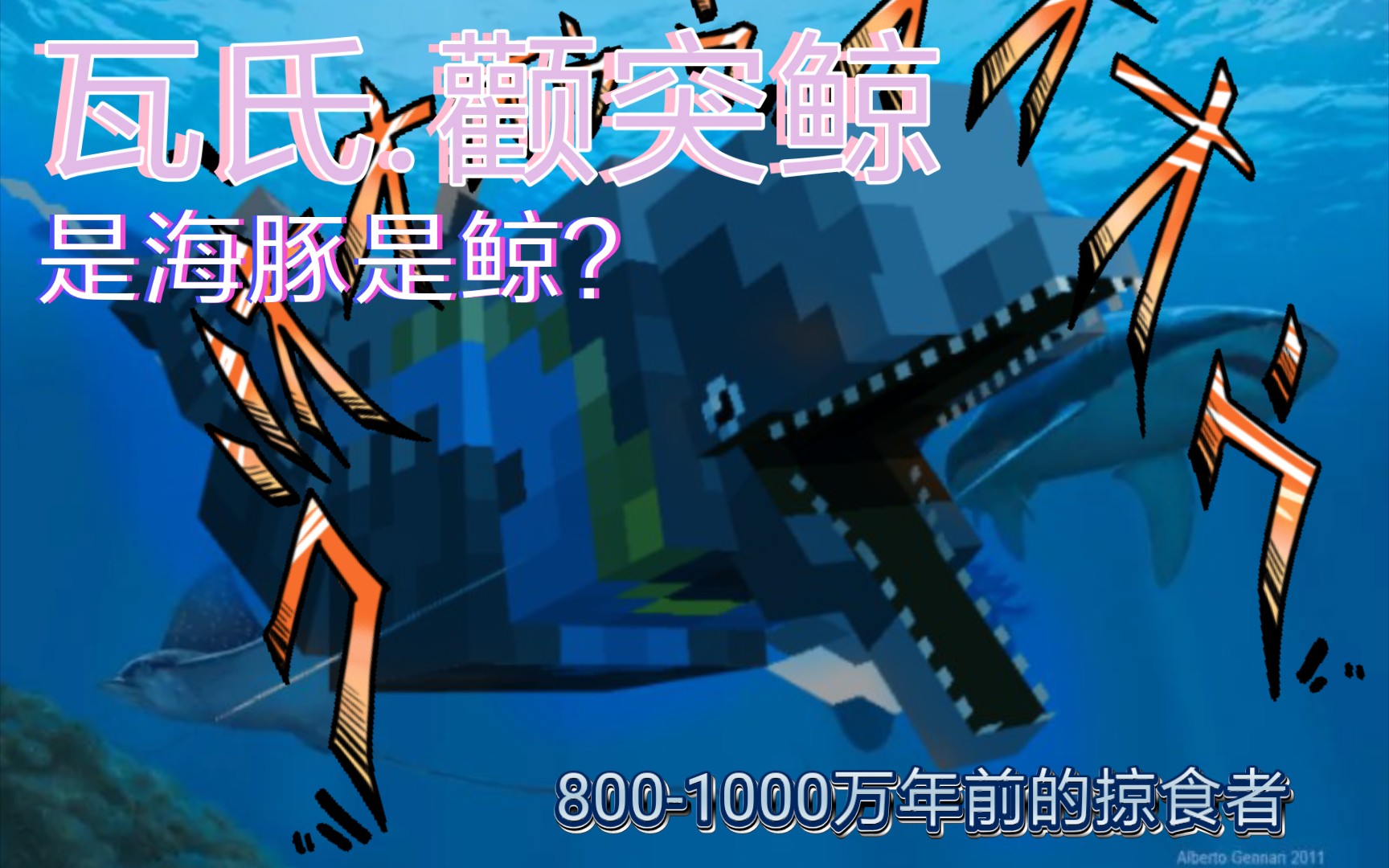 『像素古生物科普系列』13海豚与抹香鲸爱的结晶——瓦氏.颧突鲸