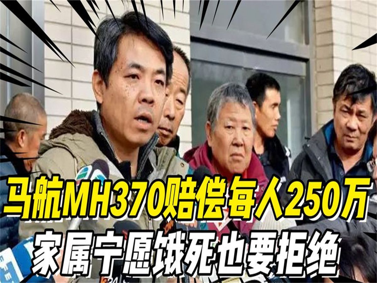 [图]马航MH370赔偿每人250万，家属宁愿饿死也拒绝，他们经历了什么？