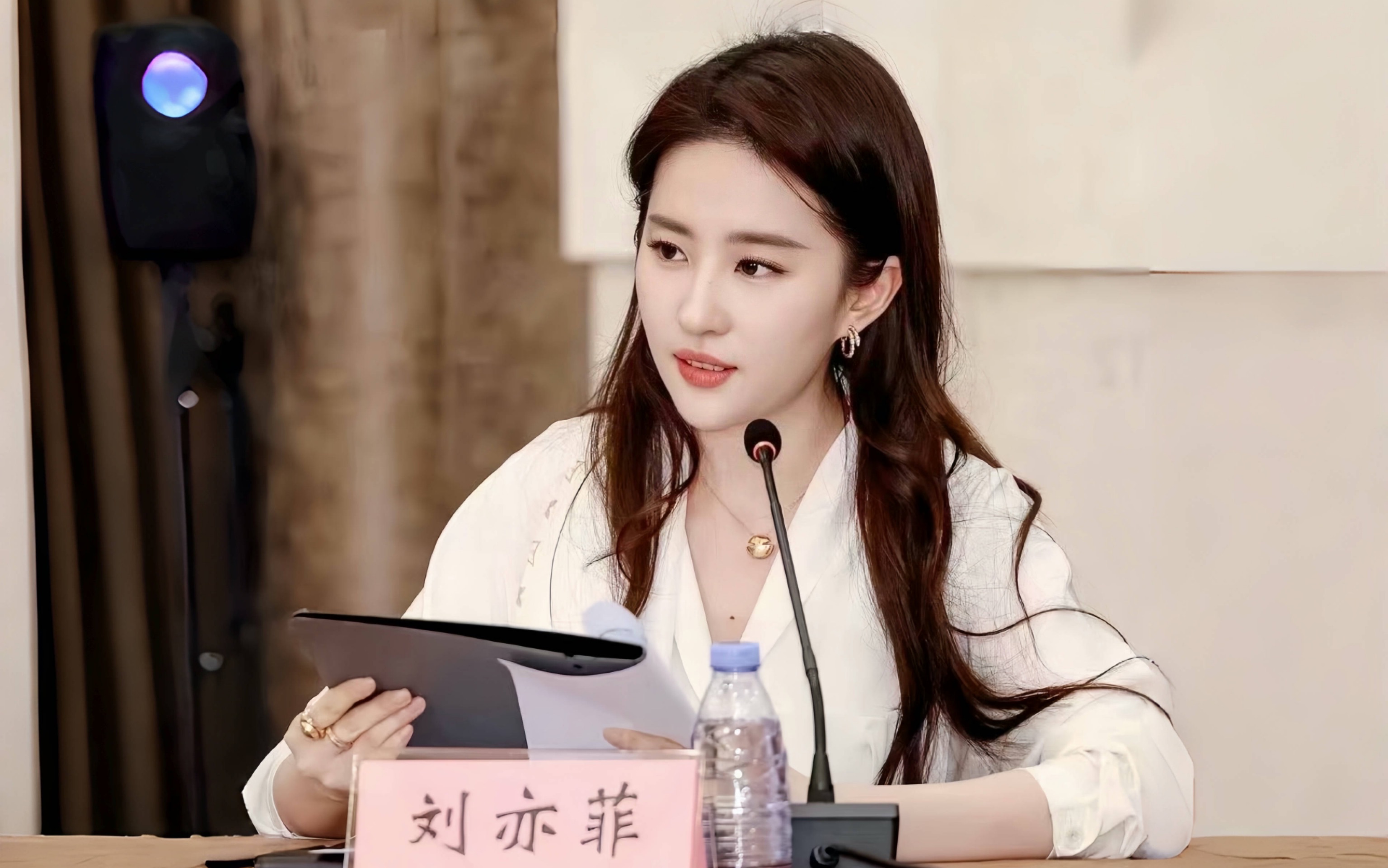 【字幕版】刘亦菲参加《玫瑰的故事》创作座谈会