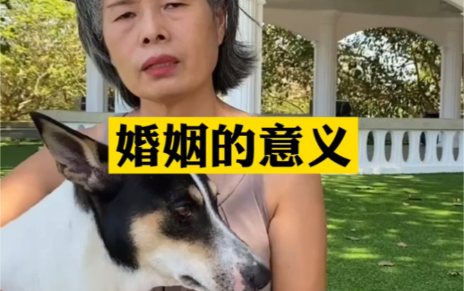 为什么要结婚?权衡利弊越想越想不通,但是儿子一句话把我搞哭了哔哩哔哩bilibili