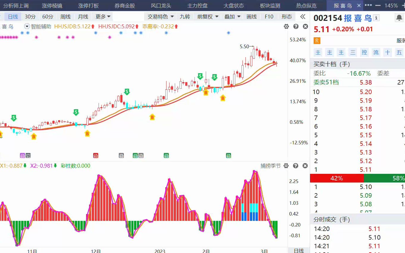 报喜鸟,深桑达哔哩哔哩bilibili