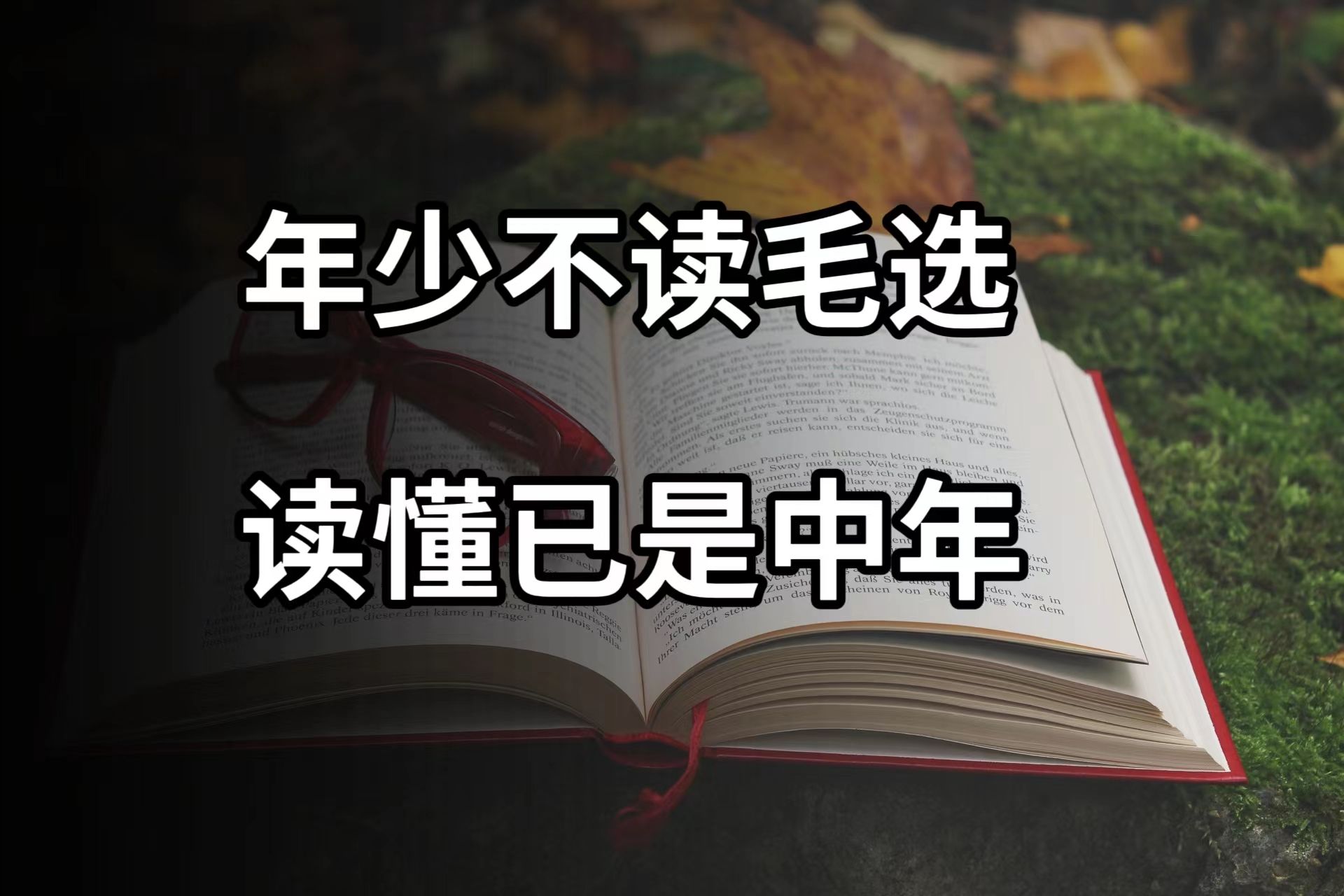 为啥越来越多人热衷读《毛选》?因为读懂《毛选》,整个人就通透了哔哩哔哩bilibili