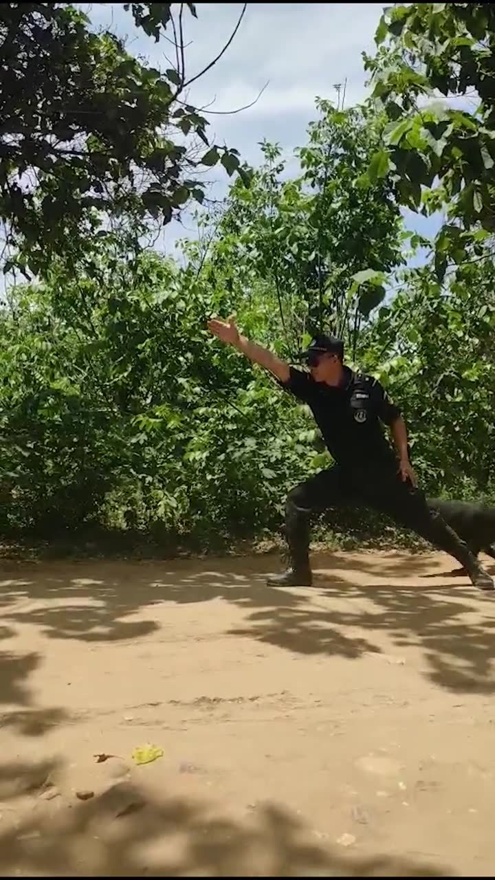 邢台警犬冲吖!#看我手势行动