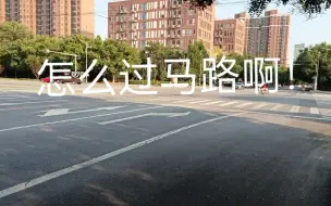 Descargar video: 这个马路这么过啊 非机动车左转