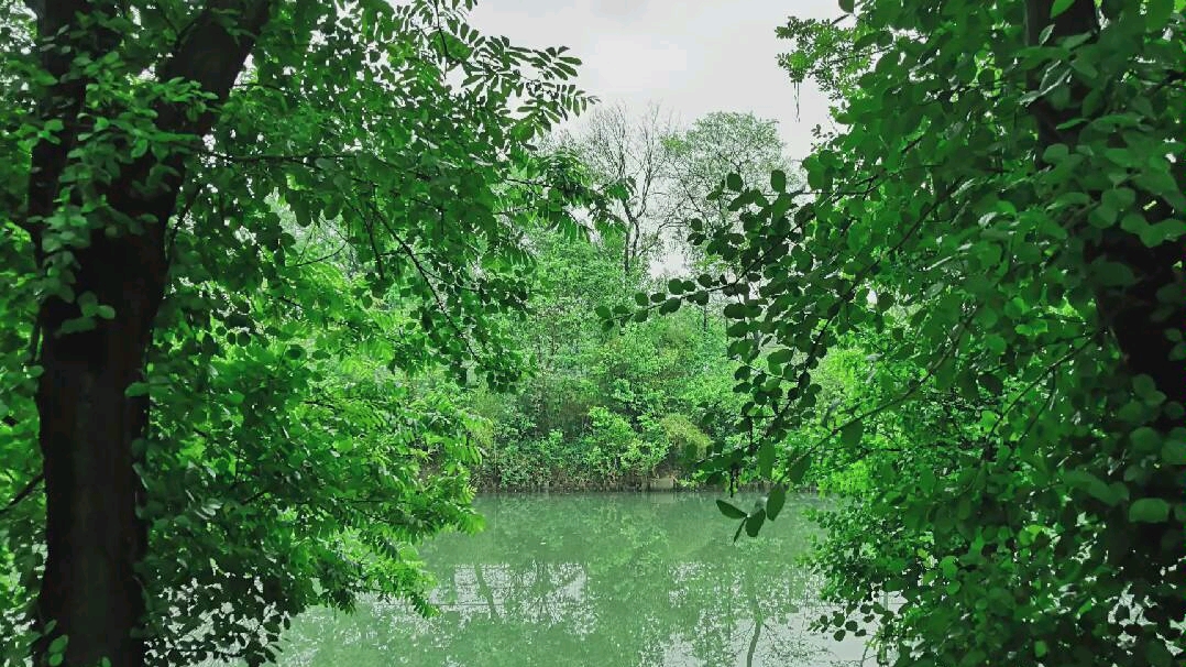 [图]谷雨天，雨后最适合踏青了，用手机一路走一路拍，回家整理成册，以后都这样纪念传统时令吧。