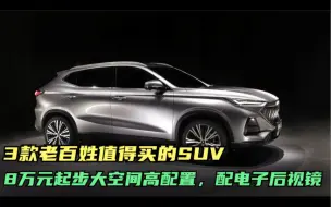 Descargar video: 8万起家用国产SUV，这三款性价比真高，电子后视镜，还要啥合资车