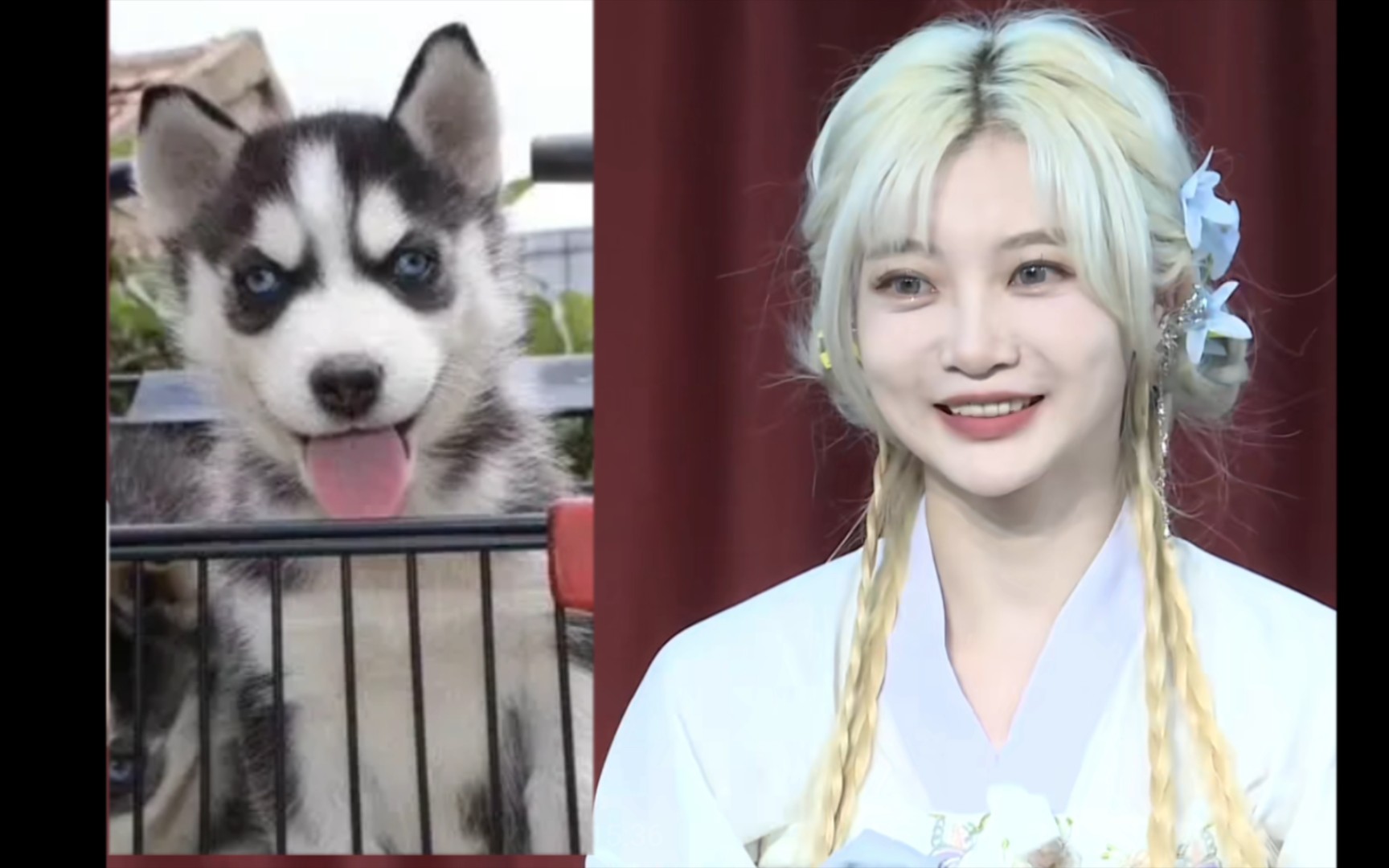 【snh48】艾斯兔公演上的那些弹幕11.