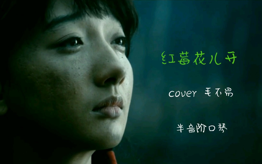 红莓花儿开囧妈半音阶口琴cover毛不易版本