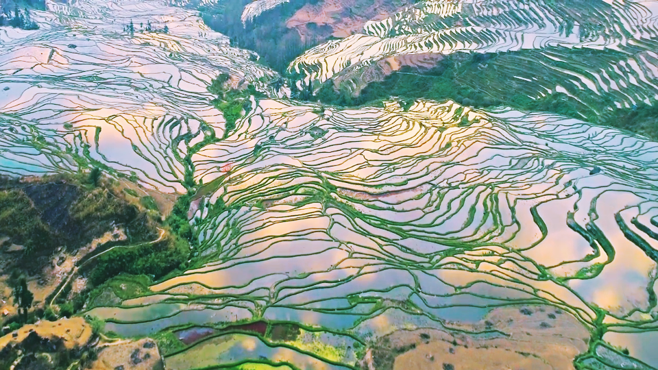 [图]航拍4k高清风景，哈尼梯田