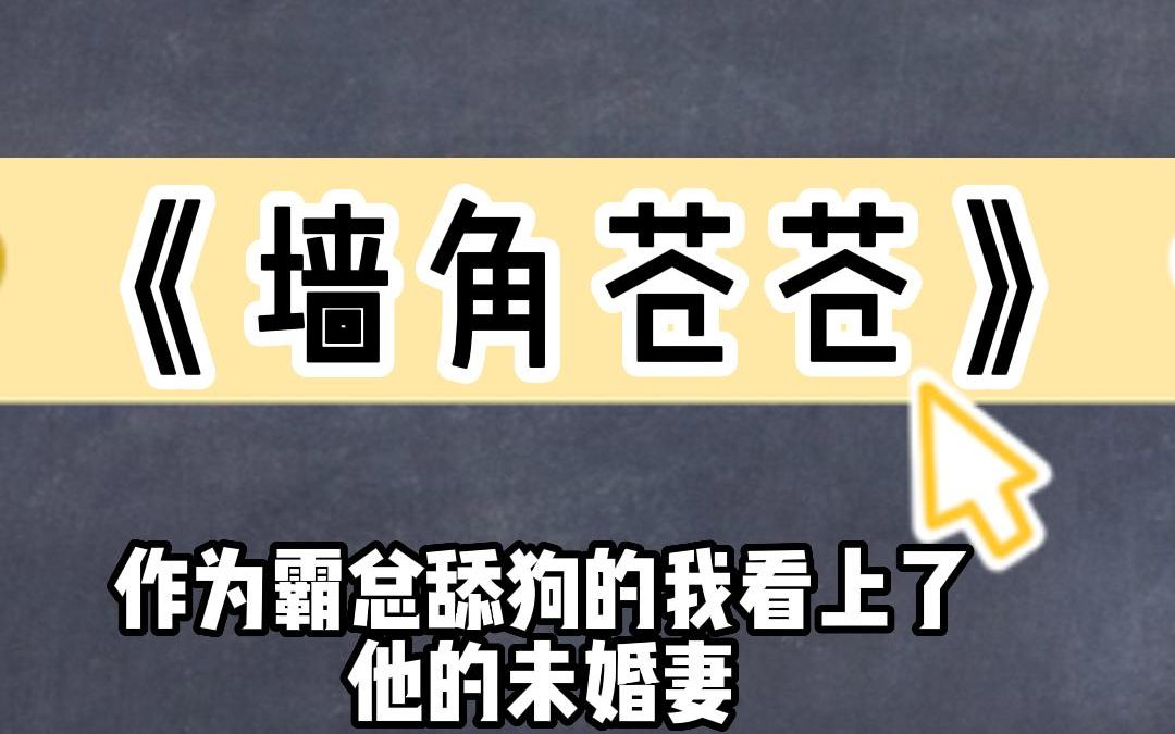 知乎看全文《墙角苍苍》哔哩哔哩bilibili