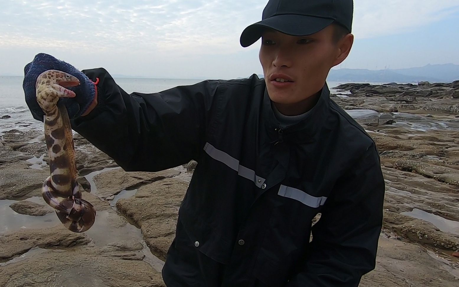 退潮后海货全部搁浅水坑,小川随便逛一圈都抓好货,这玩意太吓人