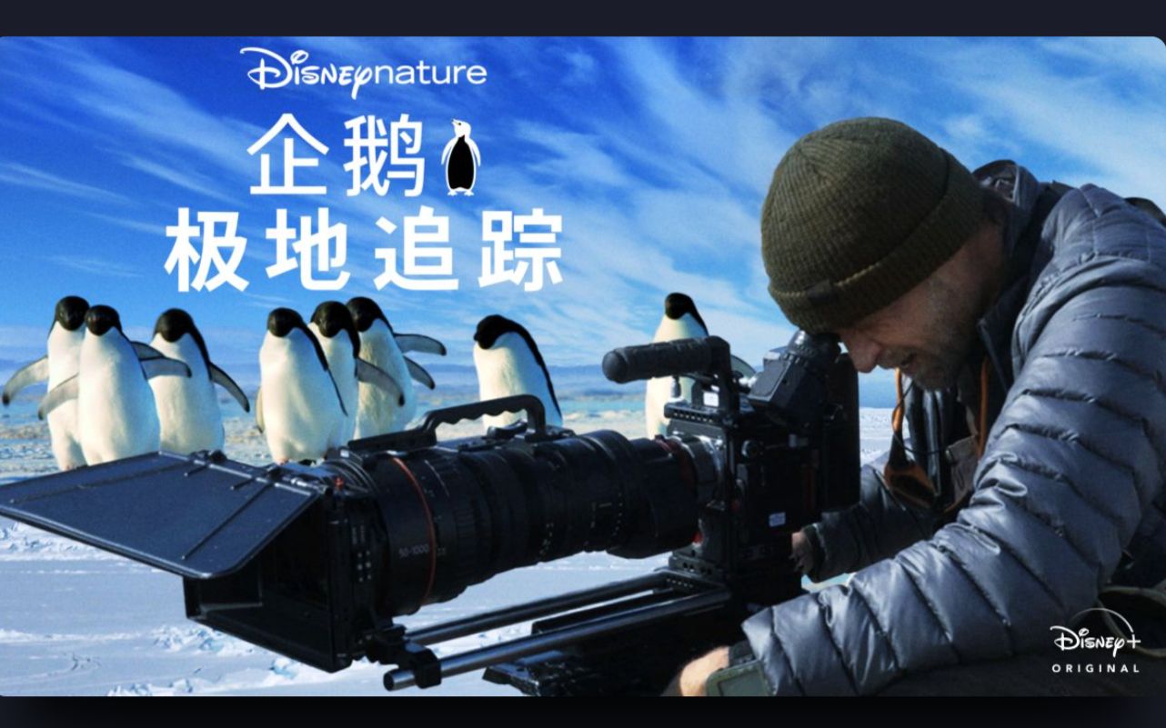 [图]企鹅极地追踪 Penguins Life on the Edge