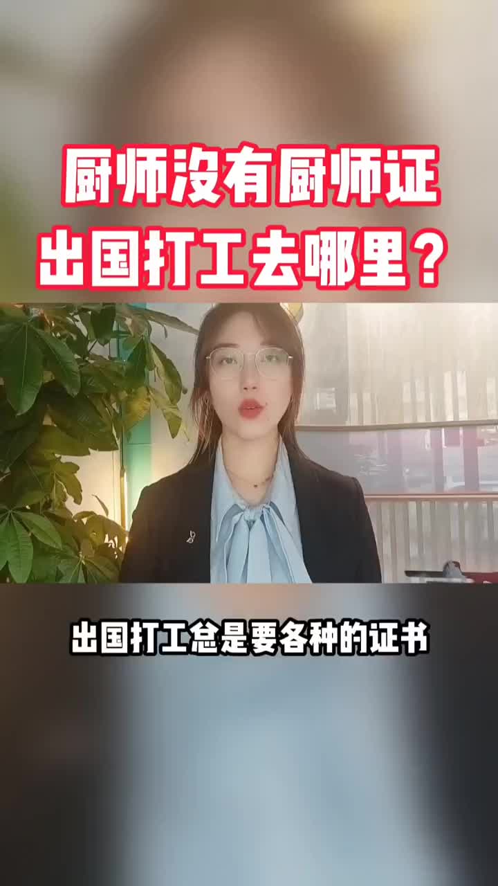 厨师没有厨师证,还能出国打工吗?哔哩哔哩bilibili