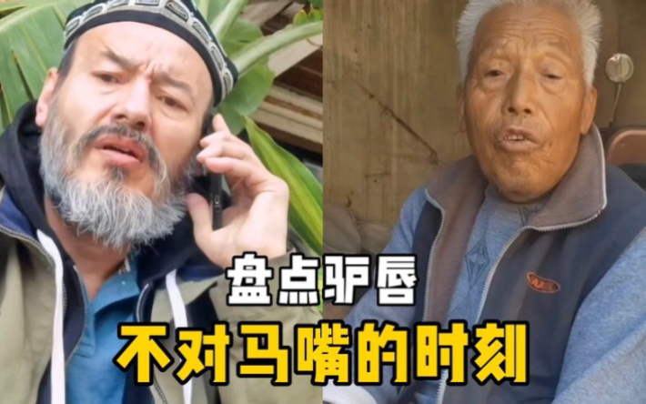 盘点驴唇不对马嘴的时刻,大爷一本正经胡说八道,太搞笑了!