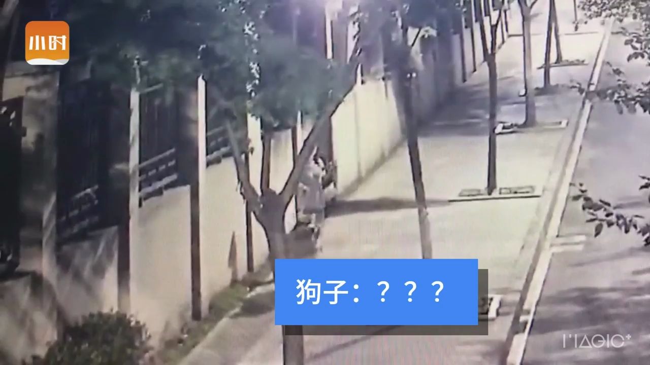 色胆包天!杭州一男子骑电动车向正散步的女孩伸出“咸猪手”哔哩哔哩bilibili