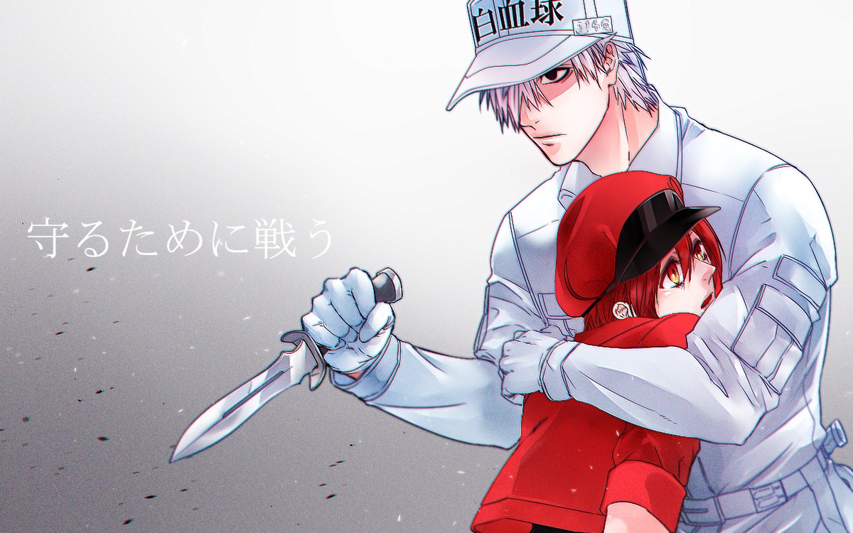 【不觉】先行版·红细胞与白细胞凄美的爱情故事·血小板老婆来啦