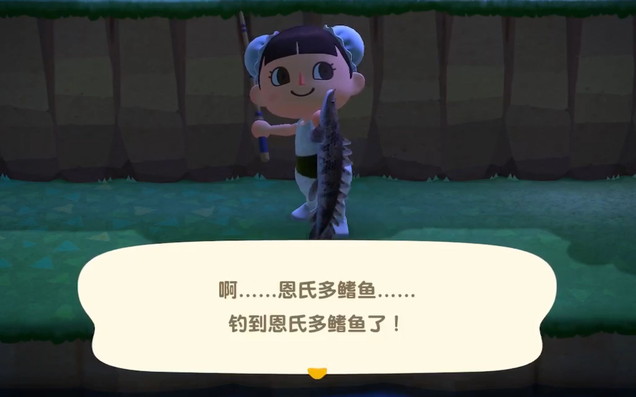 钓 恩氏多鳍鱼 动物之森