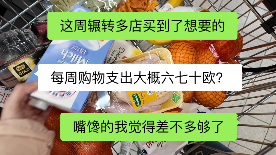 每周60多欧的生活标准可以不算苟且度日吧【沉浸式逛德国超市】哔哩哔哩bilibili