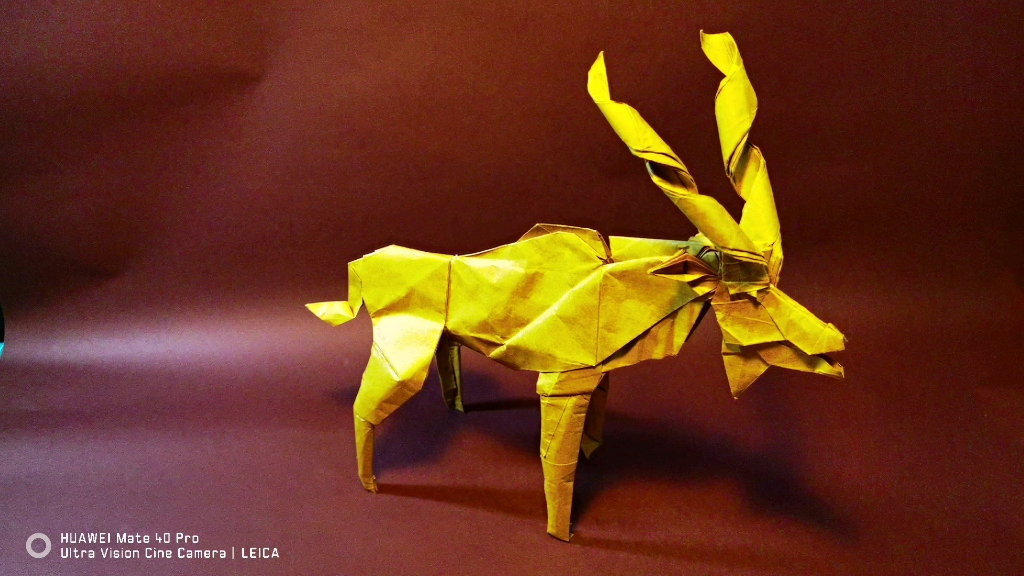 活动作品折纸麋鹿