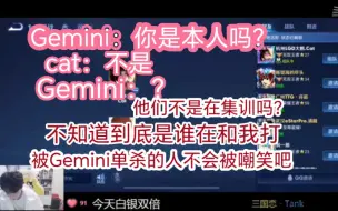 下载视频: 有没有一种可能，Gemini在和cat1v1时cat的背后有21个人在看