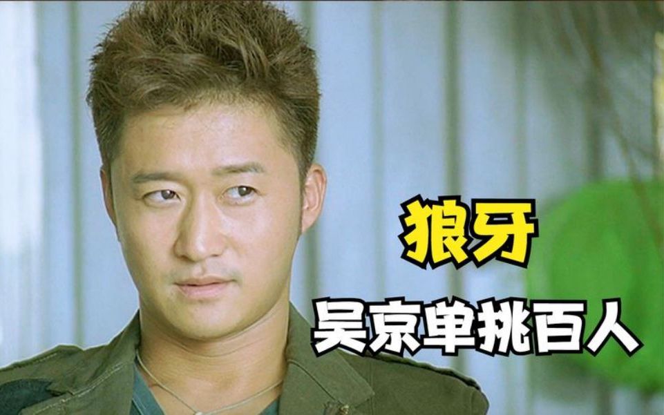电影狼牙:为何吴京的电影喜欢带有狼字 这部电影就是答案