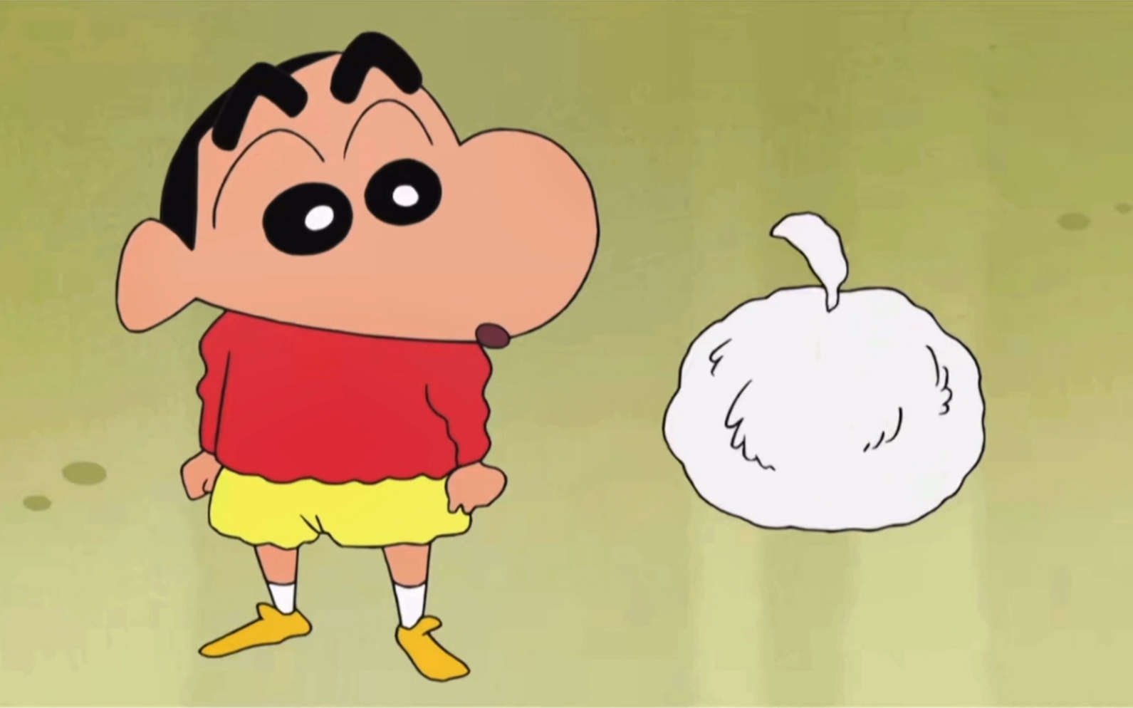 小白也是我的家人!它叫野原小白!