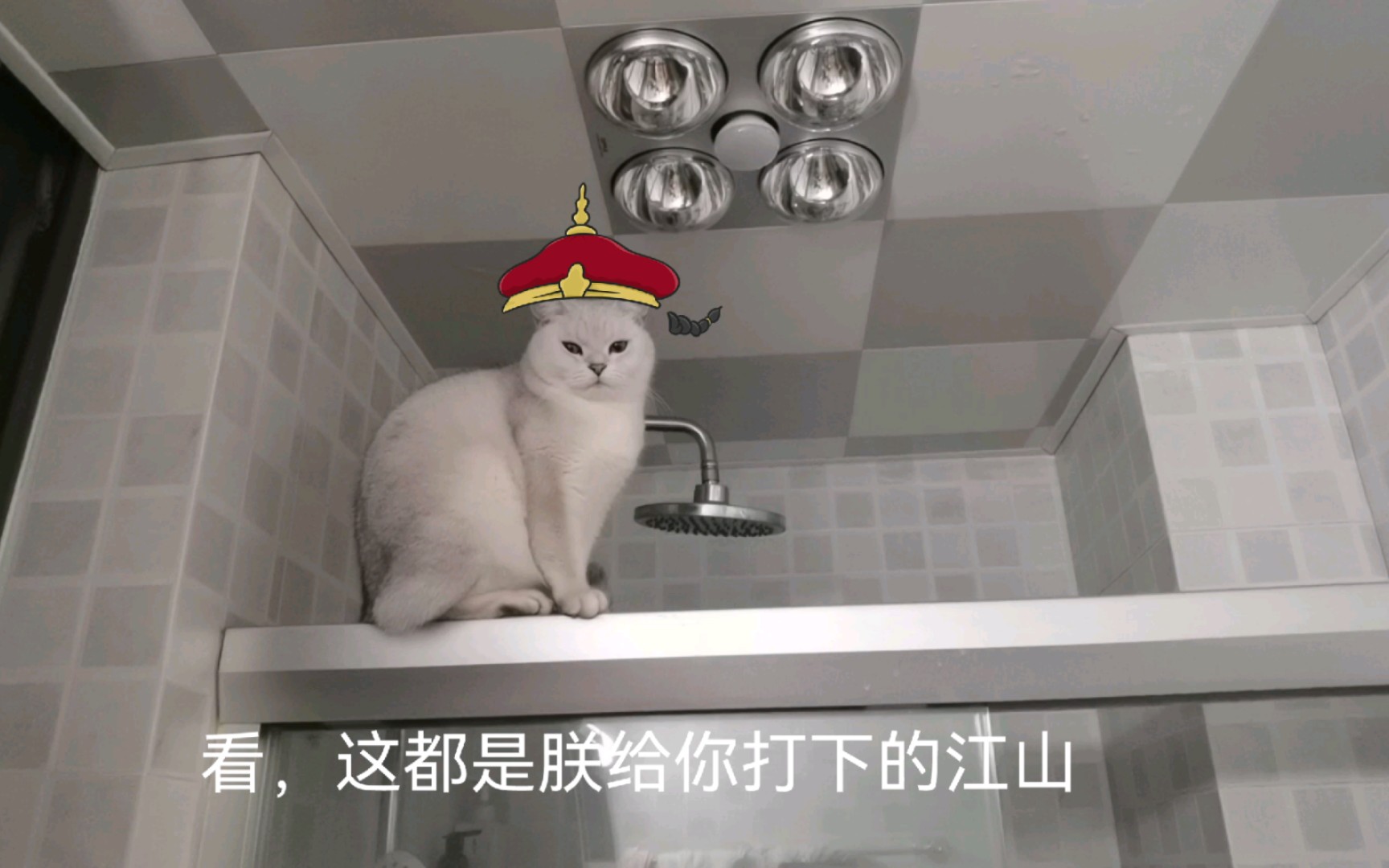 看看朕给你打下的江山